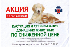 В государственных ветеринарных клиниках города Москвы проходит акция по стерилизации домашних питомцев