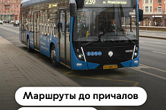 До причалов электросудов ведут почти 40 маршрутов автобусов и электробусов